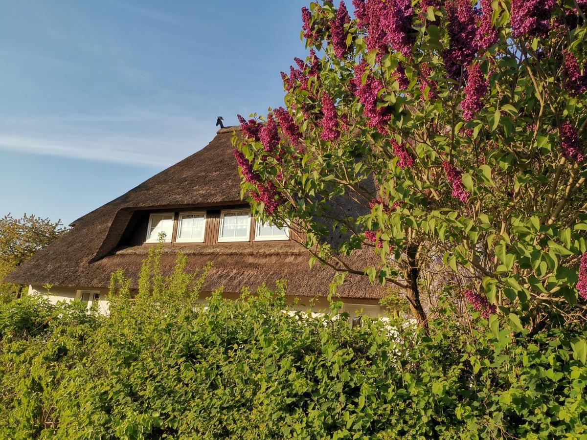 Gemuetliche Ferienwohnung Unterm Reetdach Boiensdorf Extérieur photo